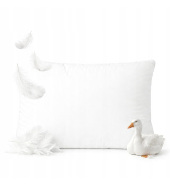 Poduszka 50x60 100% PIERZE...